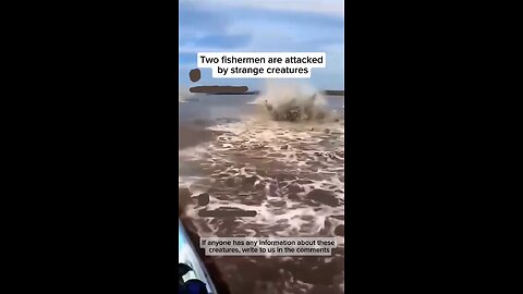 two fisherman attacked by strange creature 😲