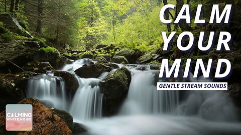 Calm Your Mind with Gentle Stream Sounds | Fall Asleep Instantly
