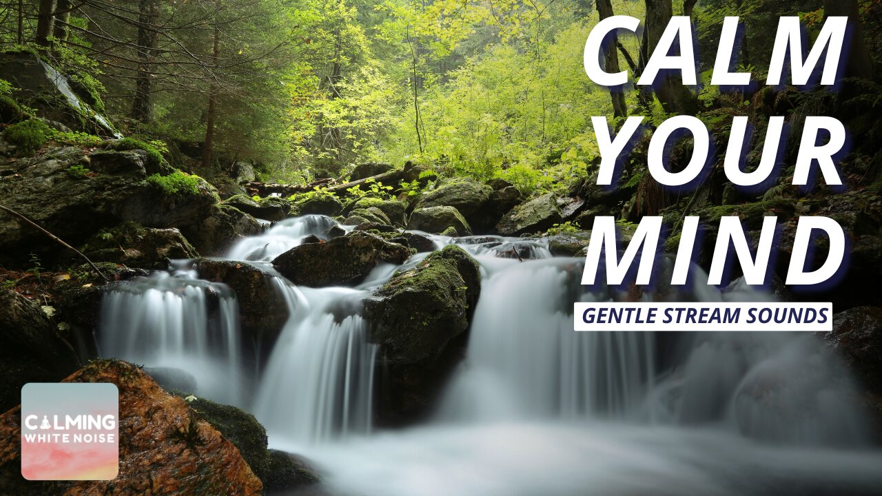 Calm Your Mind with Gentle Stream Sounds | Fall Asleep Instantly