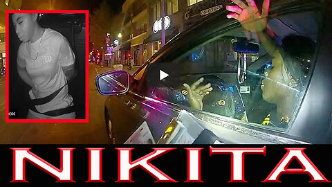 Nikita Catches A Felony, Misdemeanor and A Citation