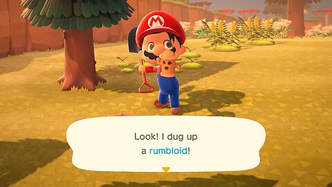 Animal Crossing gameplay