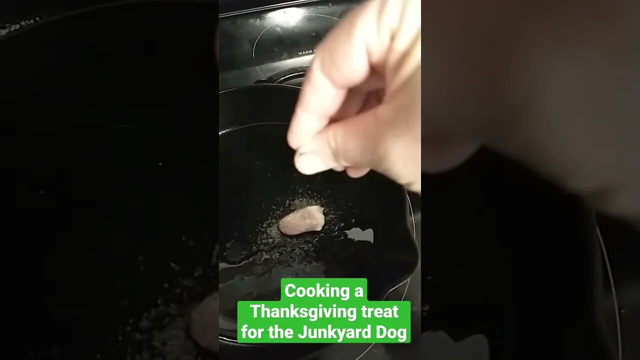 Cooking a Thanksgiving treat for the Junkyard Dog