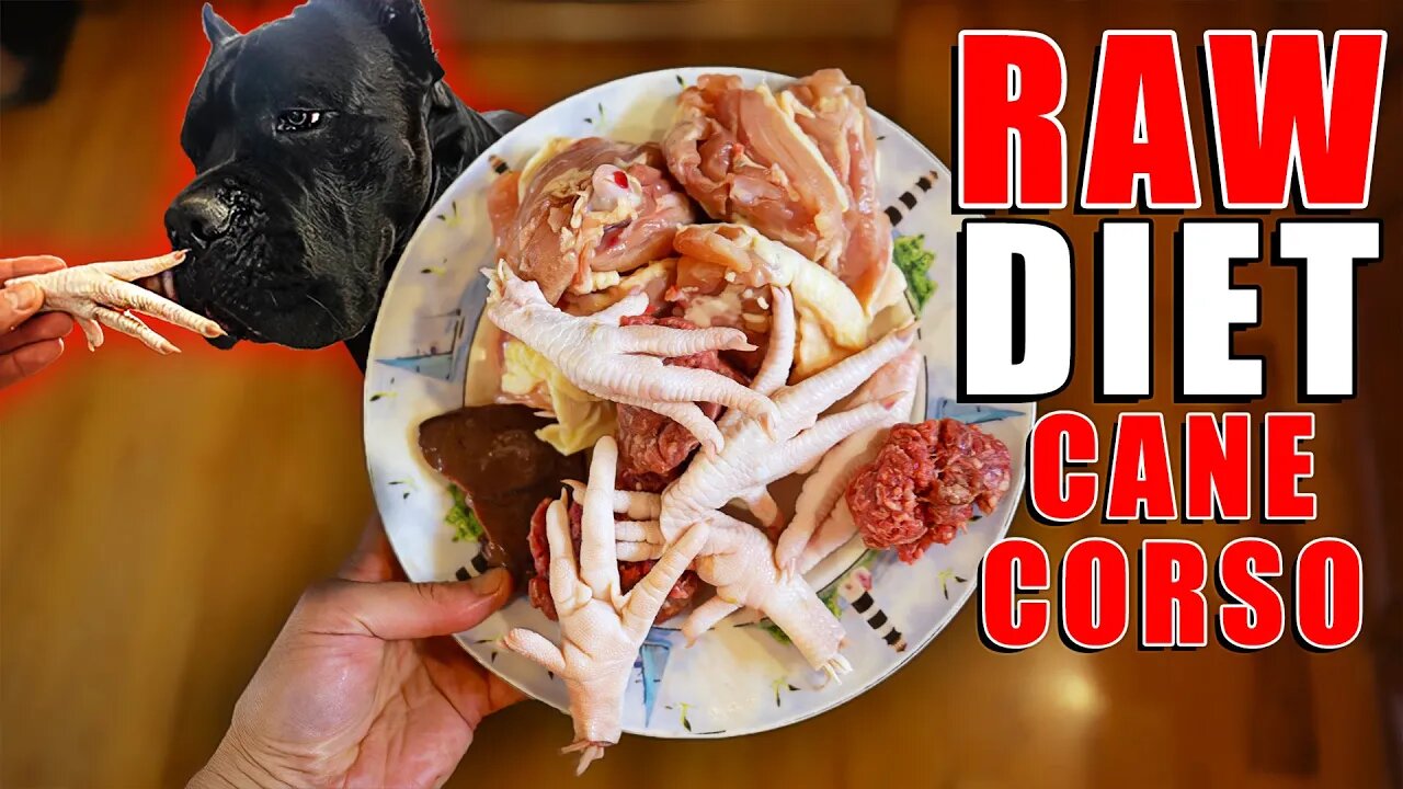 Cane Corso's RAW Diet