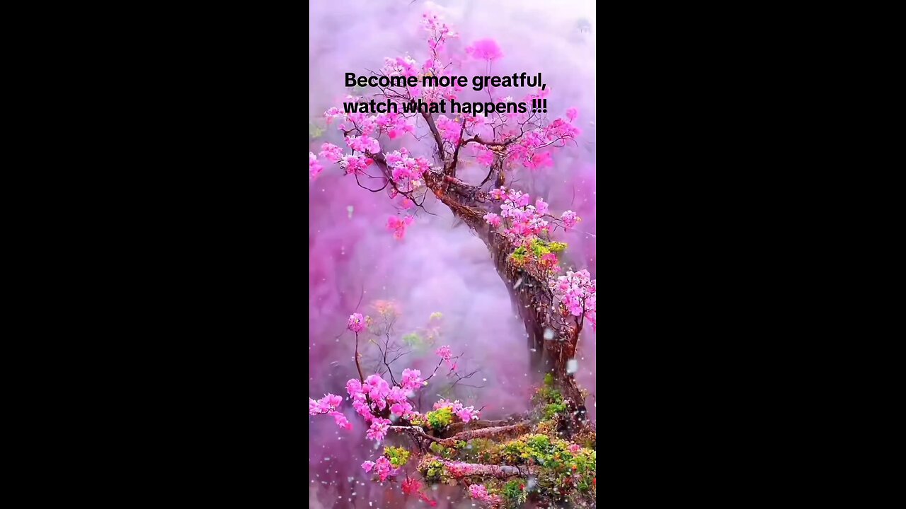 Be more greatfull ! See what happens