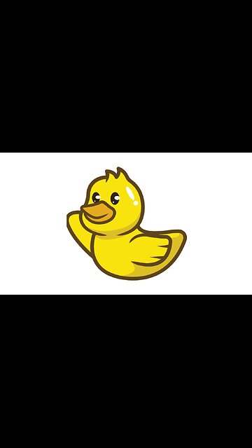 Duck Funny videos| Lovely Cock videos and Run