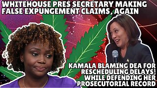 Curaleaf's Politically-Inspired Strains & Kamala Harris Blames Marijuana Rescheduling Delays on DEA