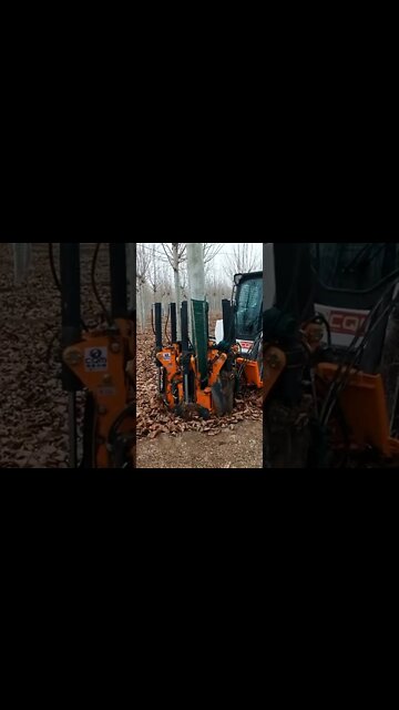 Easy plantings ☘️#Shorts #ytshorts #dailyhackness #challenges #doityourself #useful