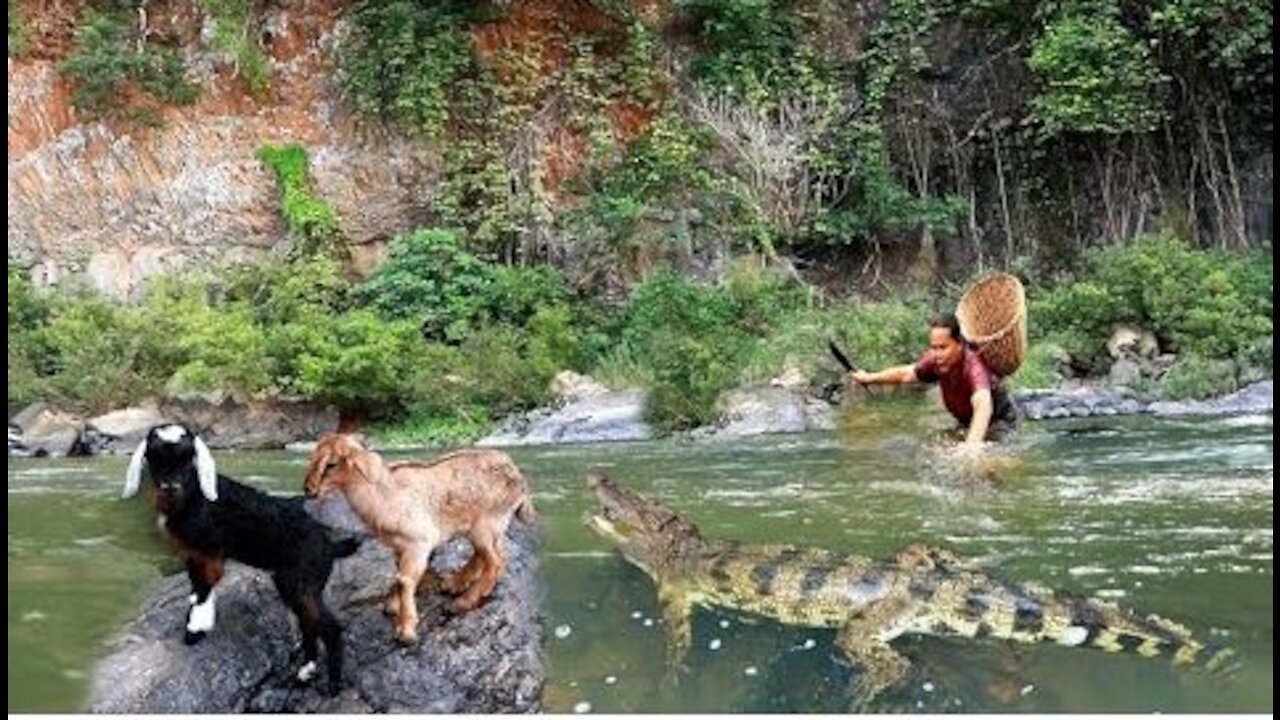 woman helped two goats & cook​ fish with vegetables -Eating delicious HD