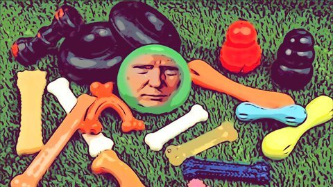 The Ultimate Donald Trump Chew Toy Meme! 🦴