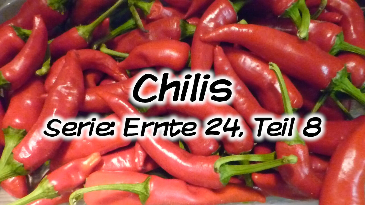 Mach's Dir. Selbst. - Chilis (Serie: Ernte 24, Teil 8)