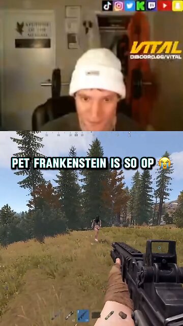 Rust pet Frankenstein is so op😭