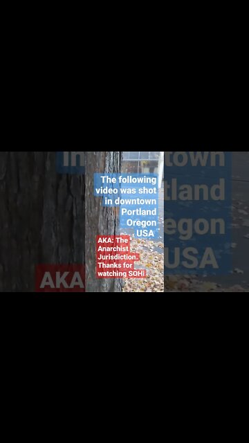 Downtown Portland | Fall Colors | The Anarchist Jurisdiction