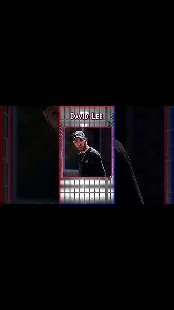 David Lee - The Seagull Diddler