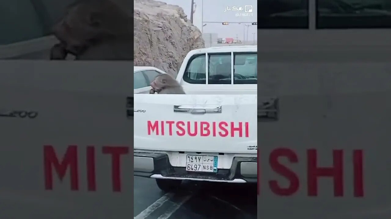 ١٠ نوفمبر، ٢٠٢٢