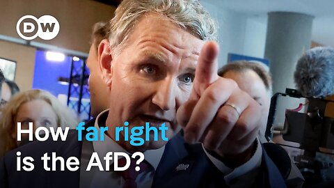 Will Germany's 'firewall' against the far-right AfD hold? | DW News