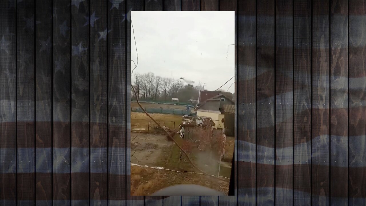 Monetized Mammoth Nation Weekly Update - February 27th 2022