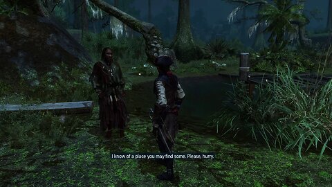 Bayou Fever (Assassin's Creed III: Liberation)