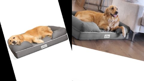 Dog bed