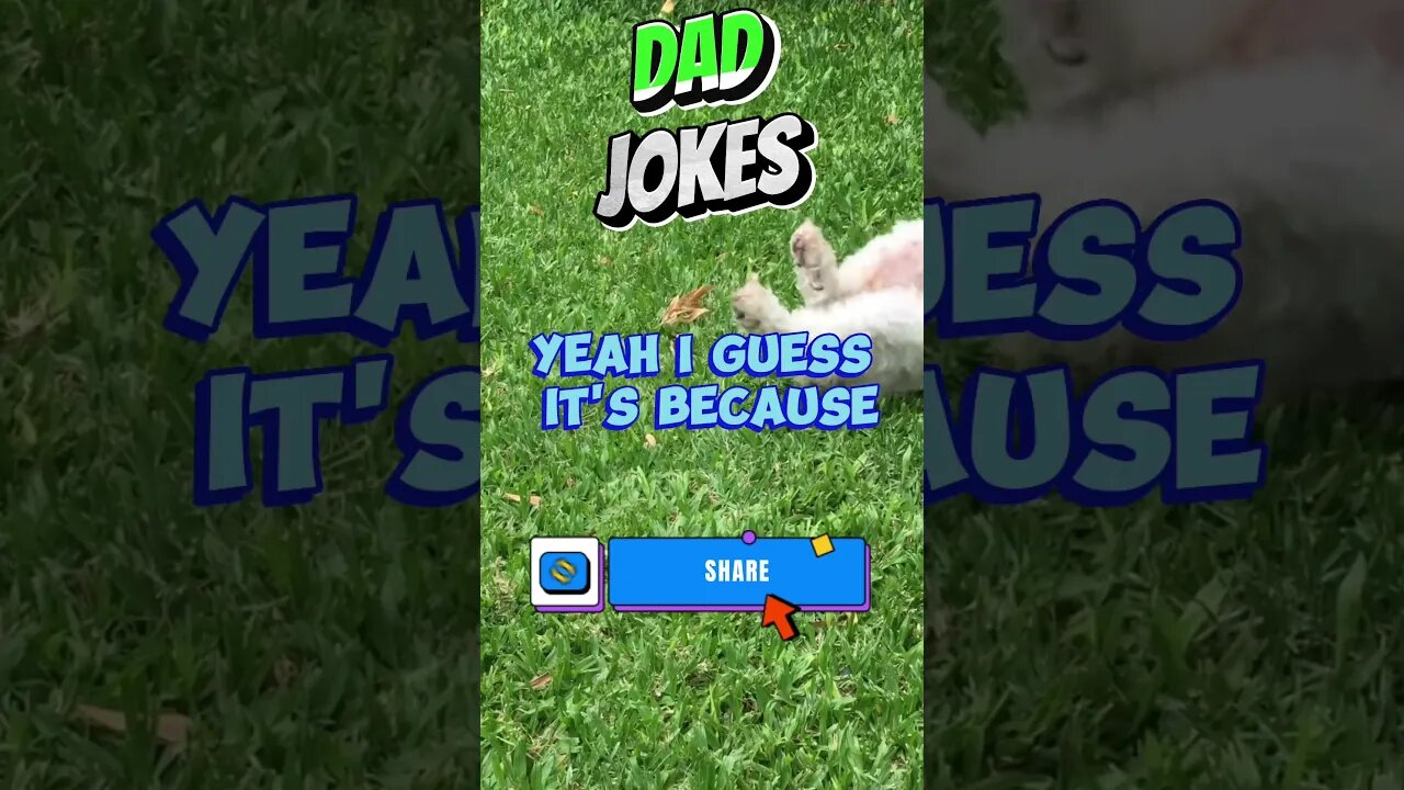 Funny Dad Jokes USA Edition # 464 #lol #funny #funnyvideo #jokes #joke #humor #usa #fun #comedy