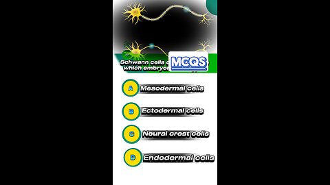 Schwann cell mcqs #neuron #🧠🧐🤔