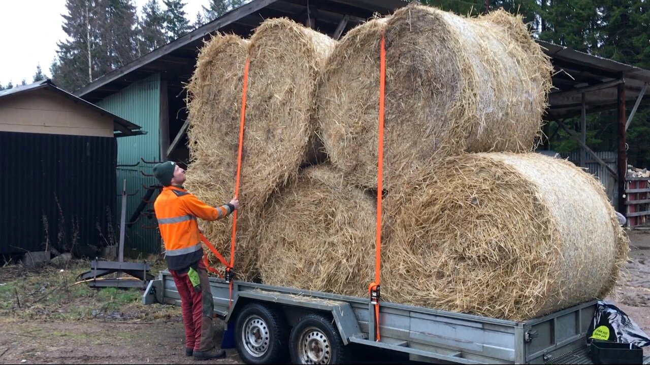 Straw & Silage from our neighbours.