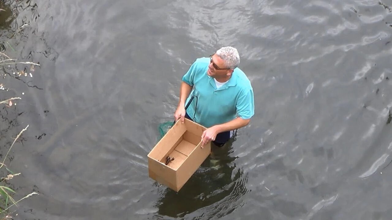 Joe Fishing for Crayfish or Crawdads in the Creek to Win a $20 Bet