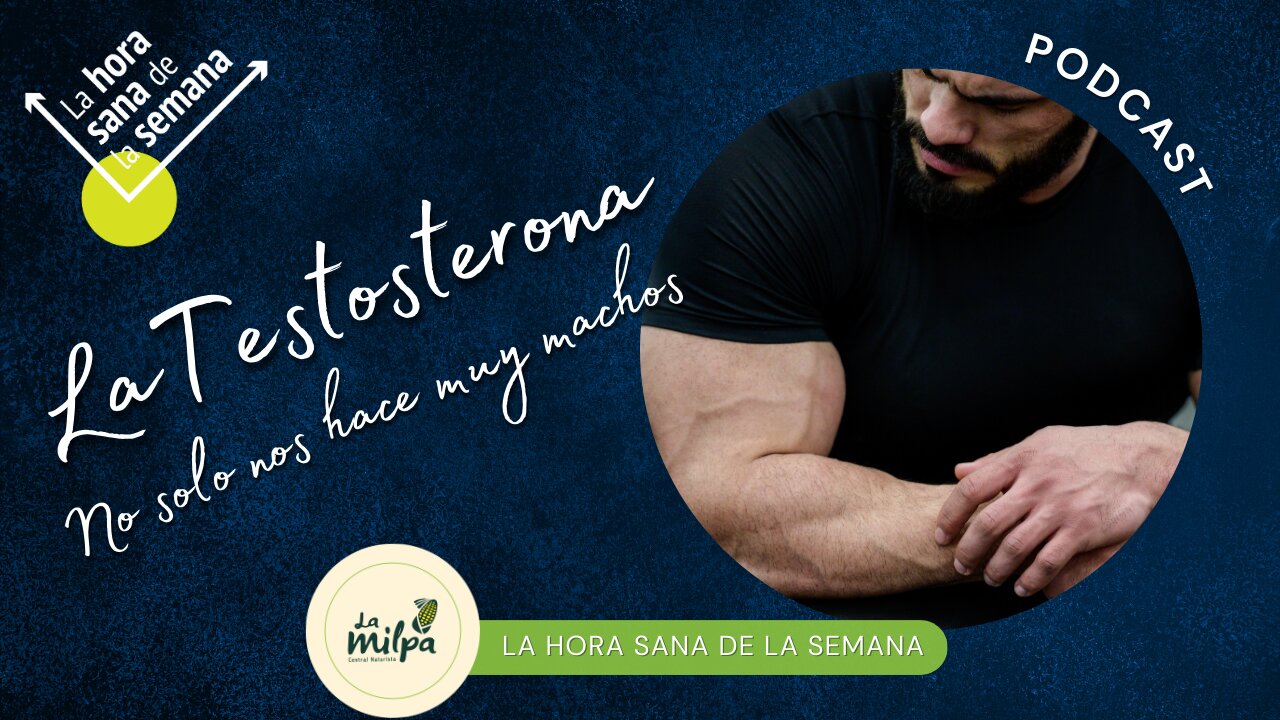 La Conexión entre Testosterona, Cerebro y Salud