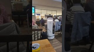 Robot delivery #robot