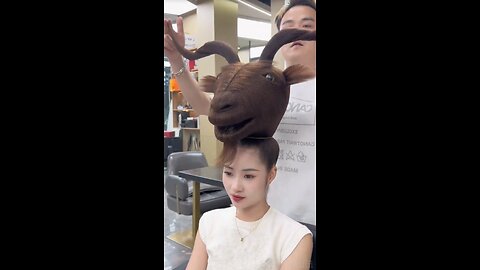 Funny Hairstyle