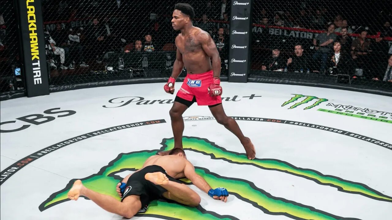 Top 30 Best MMA Knockouts of 2023 - MMA Fighter