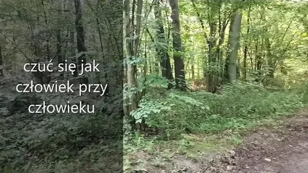 czuć się jak człowiek przy człowieku