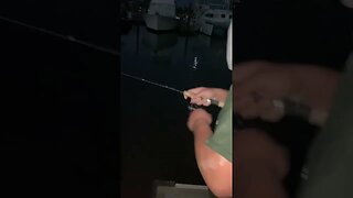 Late night SALTWATER Fishing!