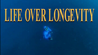 Abrolhos Islands, Anemone rock, 20m freedive training