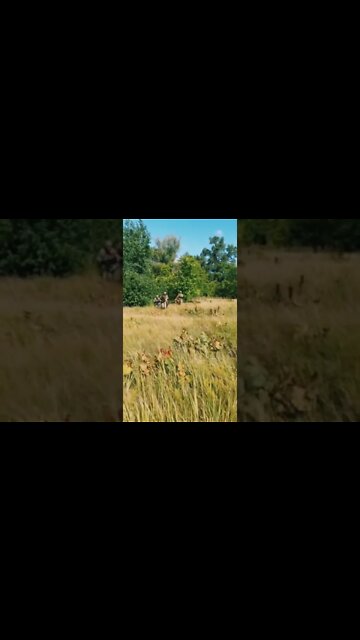 Ukraine still losing people when will they give up