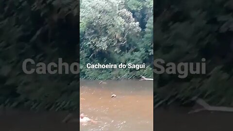 Cachoeira do Sagui