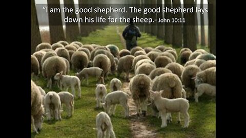 'Dedicated2Jesus' Daily Devotional -- John 10.1-18 "Recognizing the Voice of Jesus Christ"