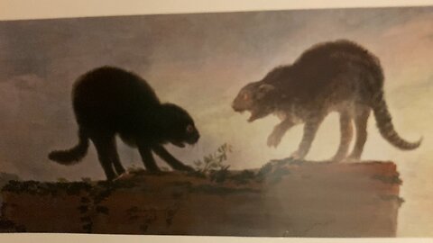 They’re eating the cats