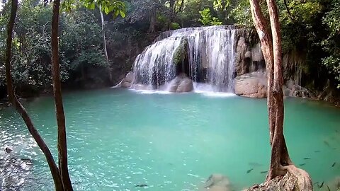 Relaxing Waterfall Sounds with Serene Bird Chirping - A Peaceful Nature Escape