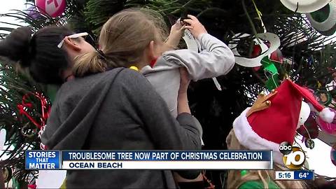 Troublesome tree now part of Christmas celebration