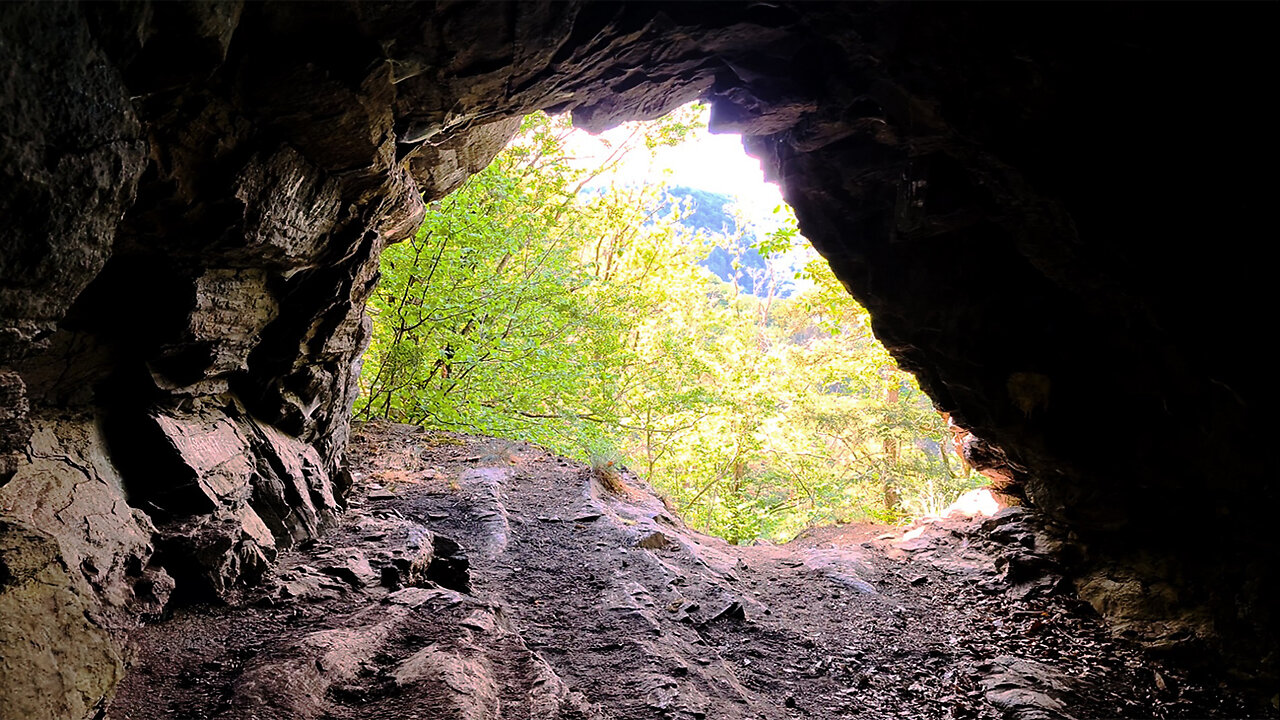 To The Hidden Cave - ASMR Virtual Forest Walk Nature Sounds No Music