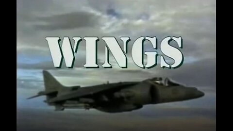 DOCUMENTARY---WINGS