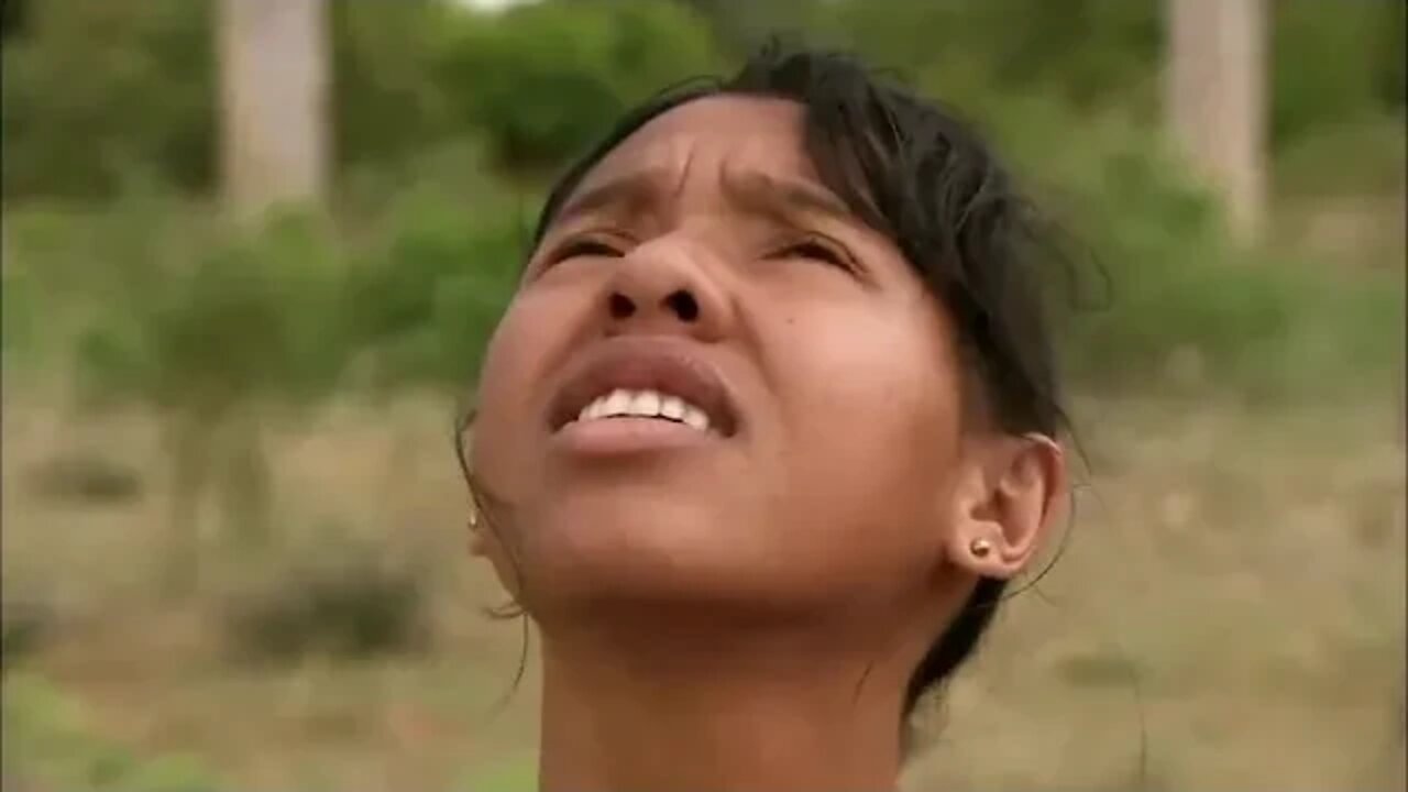 12 ++ Amazing Quest Stories from Madagascar Somewhere on Earth Madagascar Free Documentary