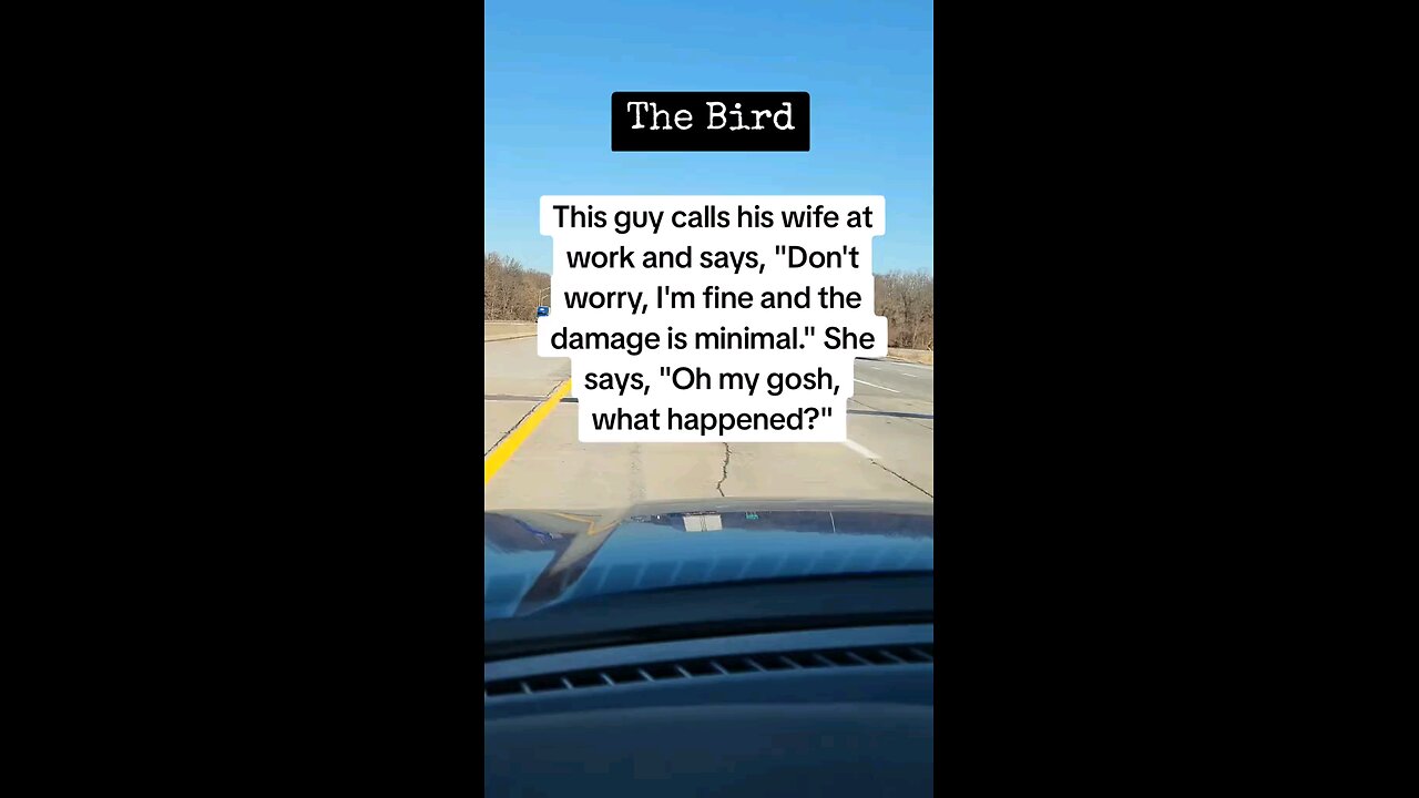 The Bird
