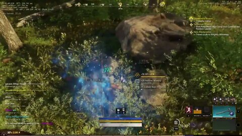 New World Fresh start on Artemis part 66