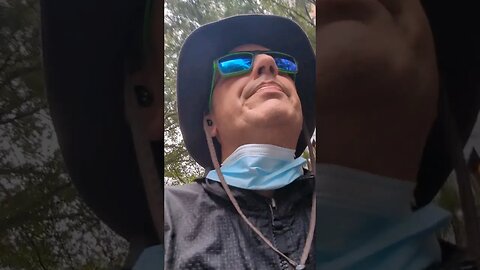 Content, then vs now. August 28, 2023.