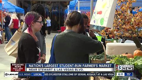 200+ students participate in farmer's market at Zappos