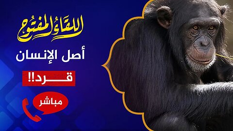 اللقاء المفتوح 🔴 انتبهوا على أطفالكم من ألعاب تروج أن أصل الإنسان قرد!