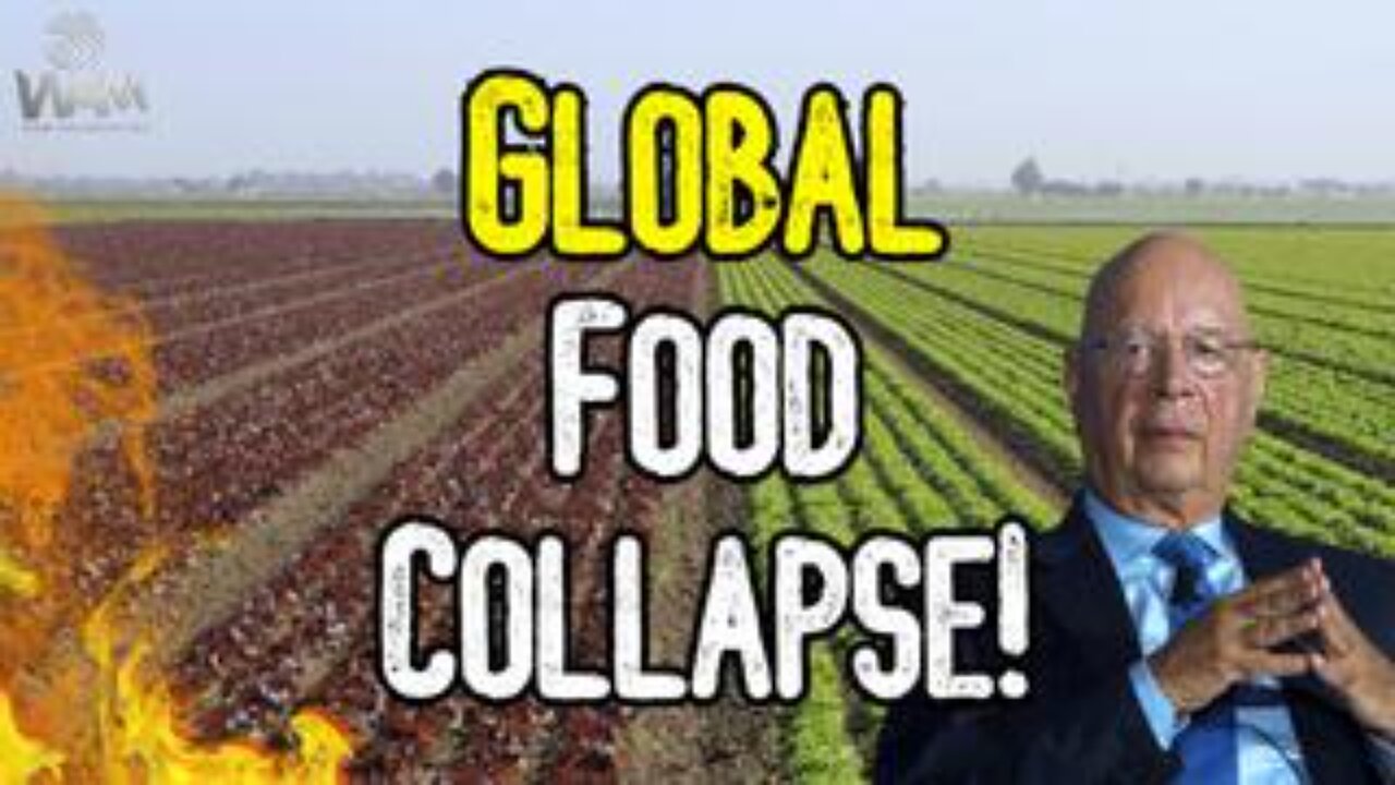 Global Food Collapse! - Shortages Lead To Rations As Globalists Attack Farmers!