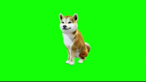 Copyright Free 3D funny Dog Character Green Screen Effect | Chroma Key | Royalty Free | Funny Dog |