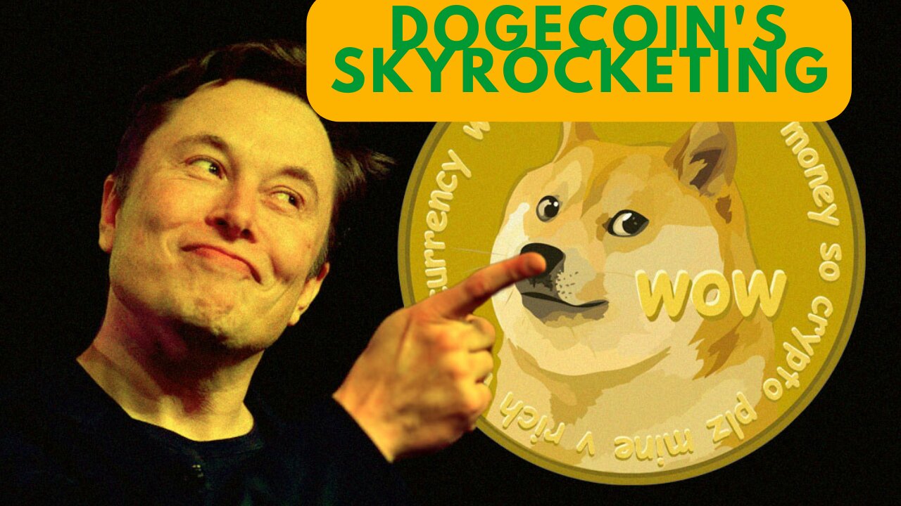 Elon's Meme Magic: Dogecoin's Skyrocketing Journey